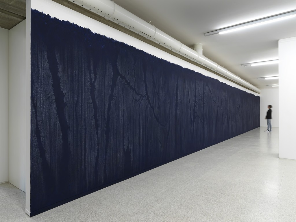 Luisa Rabbia, Another Country, 2017, Ph. Dario Lasagni
Luisa Rabbia, Another Country, 2017, Ph. Dario Lasagni