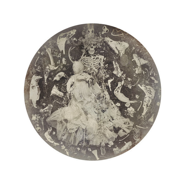 Kahn & Selesnick, ‘Bone Augury’, Yancey Richardson Gallery