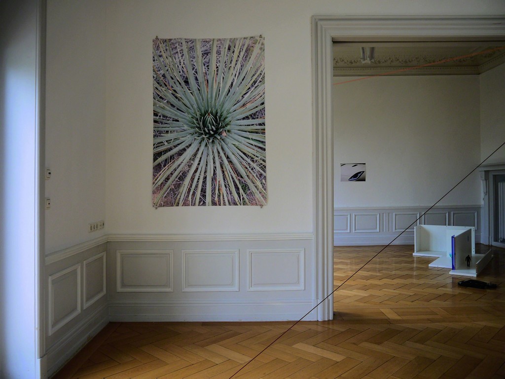 Benedikte Bjerre " Pitfalls" Salon Kennedy, Frankfurt
Installation Shot, from left to right: "No Fate ", "No Fear", "World of Trouble", all 2016 Benedikte Bjerre " Pitfalls" Salon Kennedy, Frankfurt
Installation Shot, from left to right: "No Fate ", "No Fear", "World of Trouble", all 2016