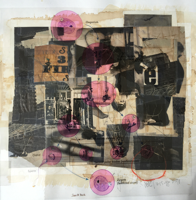 Michael Pink, ‘Zygote’, 1998, 57 Projects