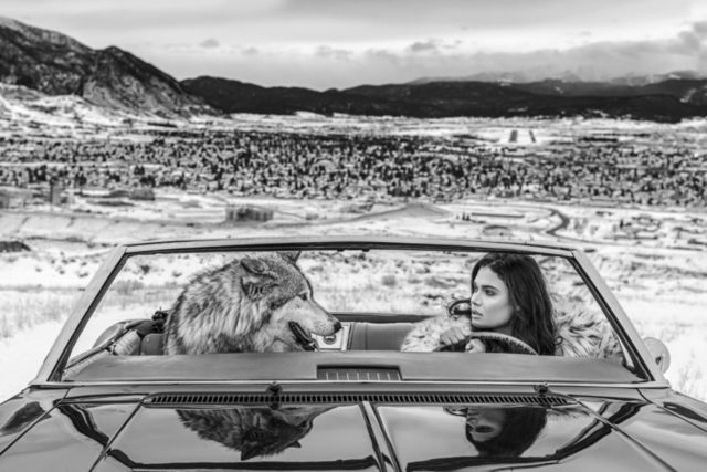 David Yarrow, ‘Indecent Proposal’, 2020, Photography, Digital Pigment Print on Archival 315gsm Hahnemuhle Photo Rag Baryta Paper, Isabella Garrucho Fine Art