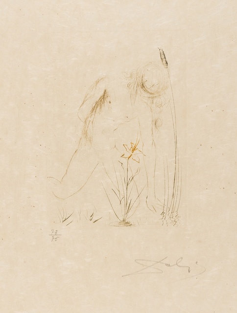 Salvador Dalí, ‘Narcisse (from Quinze Gravures) (M&L 284b; Field 68-4-B)’, 1968, Print, Etching printed in colours, Forum Auctions