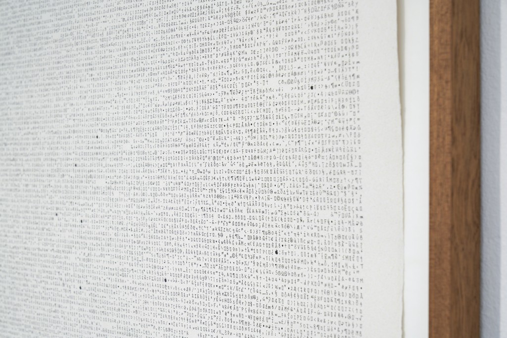 Yunchul Kim, Self_Portrait.jpg, 2003
Installation view Frankfurter Kunstverein, 2018, Photo: N. Miguletz, © Frankfurter Kunstverein, Courtesy of Anthony Moore Yunchul Kim, Self_Portrait.jpg, 2003
Installation view Frankfurter Kunstverein, 2018, Photo: N. Miguletz, © Frankfurter Kunstverein, Courtesy of Anthony Moore