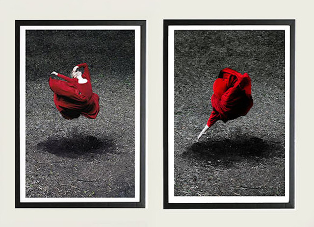 Guilherme Licurgo, ‘Desert Rose I and Desert Rose Diptych (Color Photography) Framed’, 2014, The Art Design Project