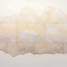 Laura Vandenburgh