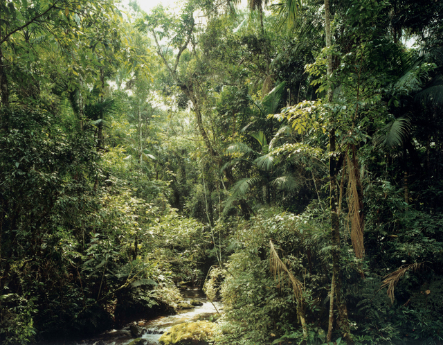 Thomas Struth, ‘Sao Francisco de Xavier, Brazil’, 2003, Photography, C-print, Artsy Gallery Edit