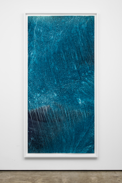 Meghann Riepenhoff, ‘Ecotone #836 (Big Creek, WA 03.07.20, Snow and Freezing Rain, Forest Understory Throughfall’, 2020, Photography, Dynamic cyanotype, Lora Reynolds Gallery