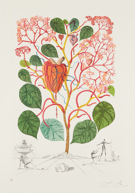 Salvador Dalí, ‘Begonia (Anacardium recordans), from Flordali® (Flora Dalinae)’, 1968, Phillips