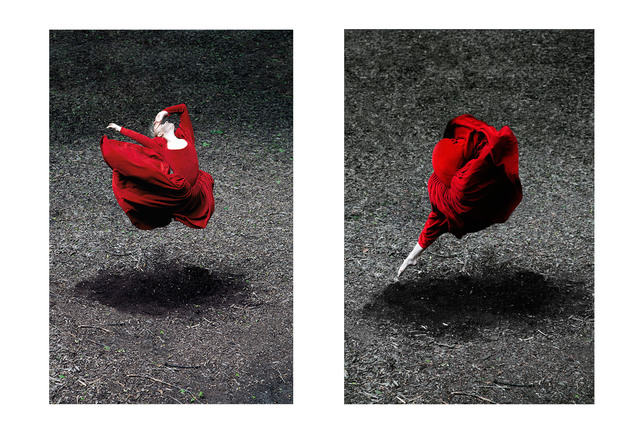 Guilherme Licurgo, ‘Desert Rose I and Desert Rose Diptych (Color Photography)’, 2014, The Art Design Project