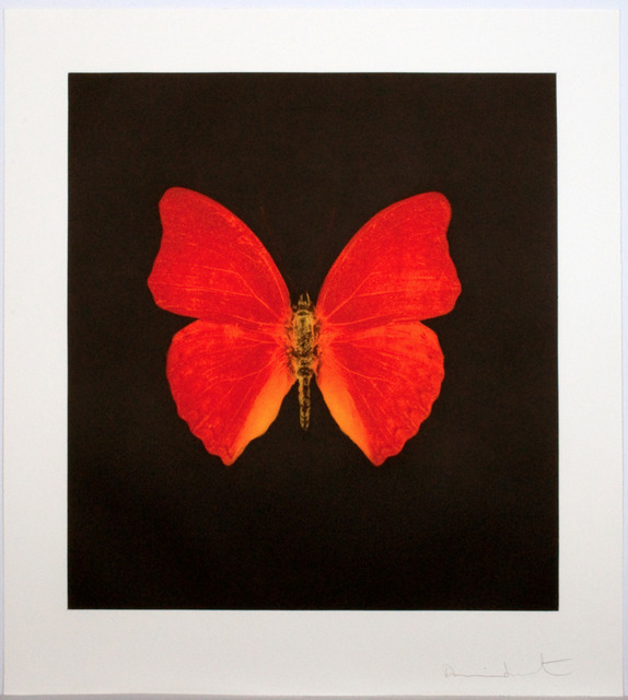 Damien Hirst | Damien Hirst, Memento - Orange Big Butterfly (2008) | Artsy