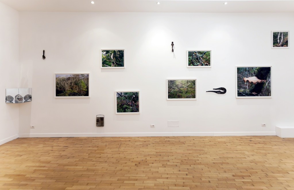 Installation view: Elaine Byrne, "La Diritta Via" Installation view: Elaine Byrne, "La Diritta Via"