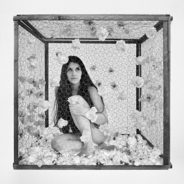 Romina de Novellis, ‘La Gabbia’, 2016, Photography, B&W photography on aluminium, Alberta Pane