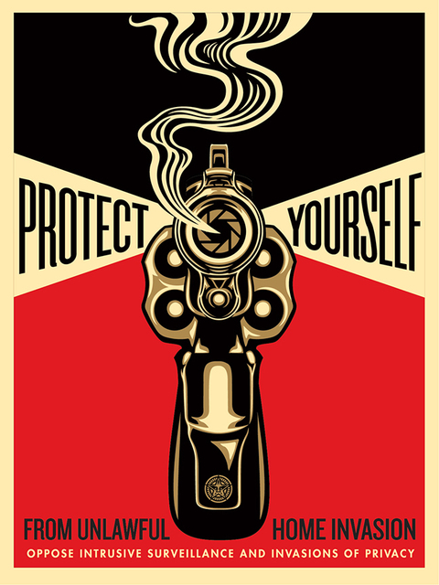 Shepard Fairey, ‘Home Invasion 2’, 2014, Black Book Gallery