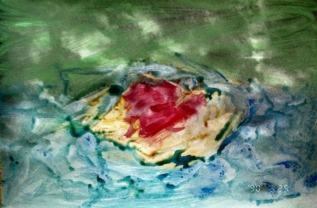 Nobuyoshi Araki, ‘Untitled, Painted Photograph, Landscape Nobuyoshi Araki’, 1980-1989, Lions Gallery