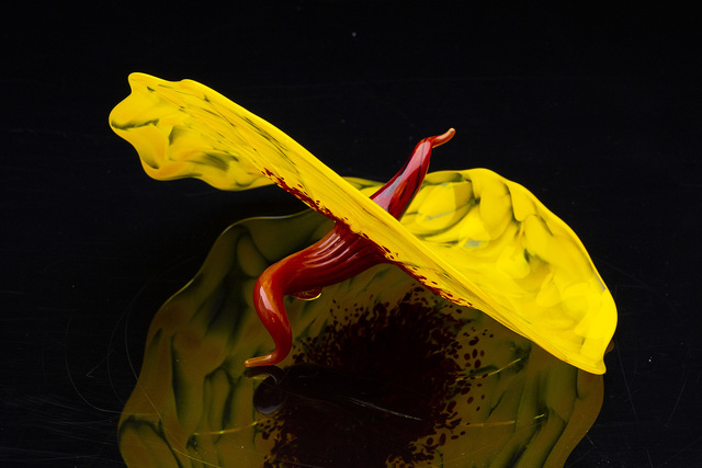 Dale Chihuly, ‘Yellow Bel Fiore’, 2005, Modern Artifact