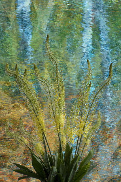 Gerrie Lewis, ‘Earth Essence ’, 2019, Ethos Contemporary Art