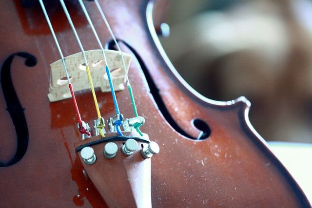 Cynthia Mahler, ‘Violino I’, Photography, Inn Gallery
