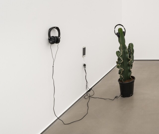 Cactus Astray in Bipolarity (The Origin of Sound Recording) — Ludovic Bernhardt (2025)