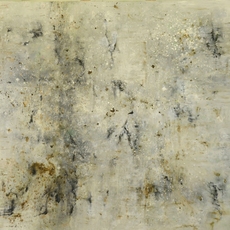 Orly Rabinowitz