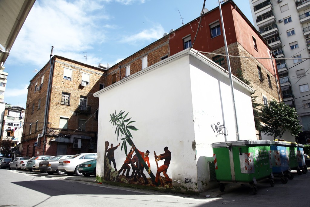 Ergin Zaloshnja, Weed Nation, c-print on wall, variable dimensions, 2018, courtesy the artist Ergin Zaloshnja, Weed Nation, c-print on wall, variable dimensions, 2018, courtesy the artist