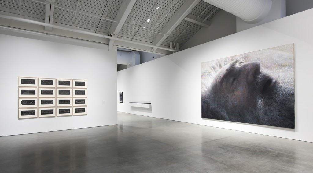 Installation view of "Architecture of Life" at UC Berkeley Art Museum and Pacific Film Archive, Berkeley (2016) Installation view of "Architecture of Life" at UC Berkeley Art Museum and Pacific Film Archive, Berkeley (2016)