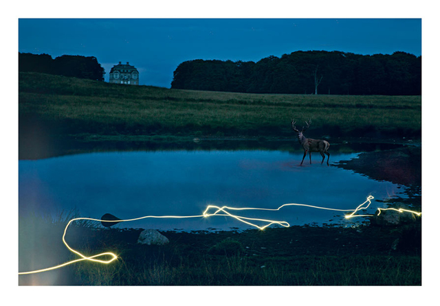 Per Morten Abrahamsen, ‘Wandering Alone’, 2018, Hans Alf Gallery