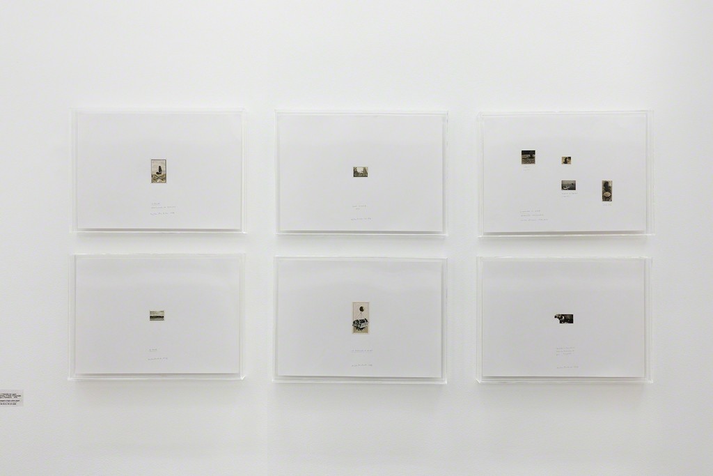 Photo Pat Kilgore © Galeria Nara Roesler Photo Pat Kilgore © Galeria Nara Roesler