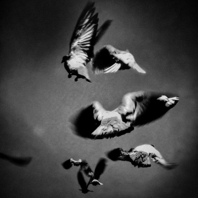 Dima Gavrysh, ‘From the series Inshallah, Suicide Bomber’, 2009, Photography, Archival Pigment Print, Circuit Gallery