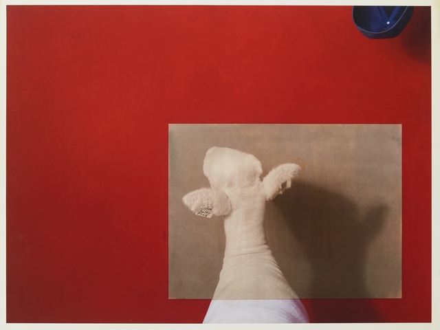 R. J. Kern, ‘Salty Frog’, 2019, Photography, Salt over archival pigment print, Olson Larsen Gallery