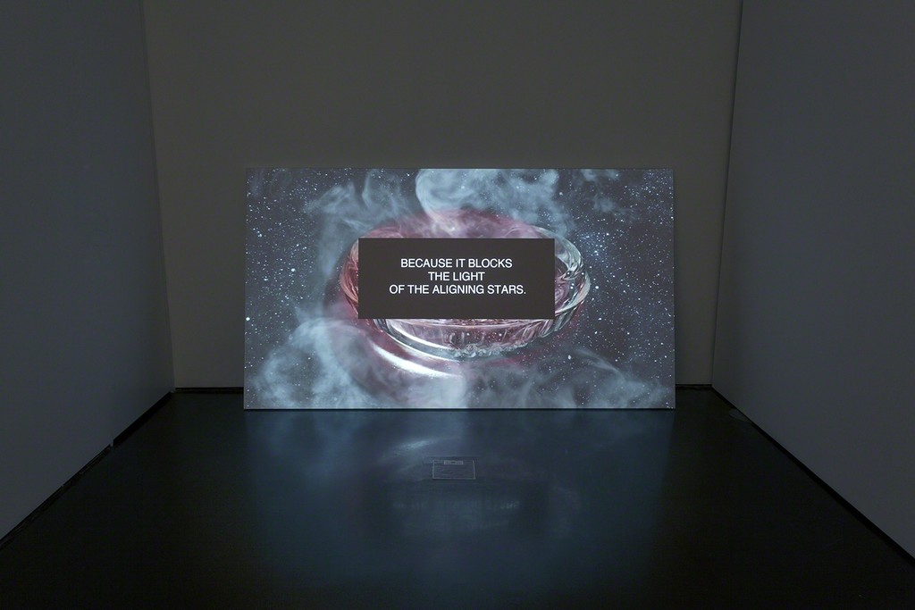 Cuckoo features Polska's most recent works, including a video, My Little Planet, shown at the New Museum's Screen Series in 2016. Photo: M. Gardulski Cuckoo features Polska's most recent works, including a video, My Little Planet, shown at the New Museum's Screen Series in 2016. Photo: M. Gardulski