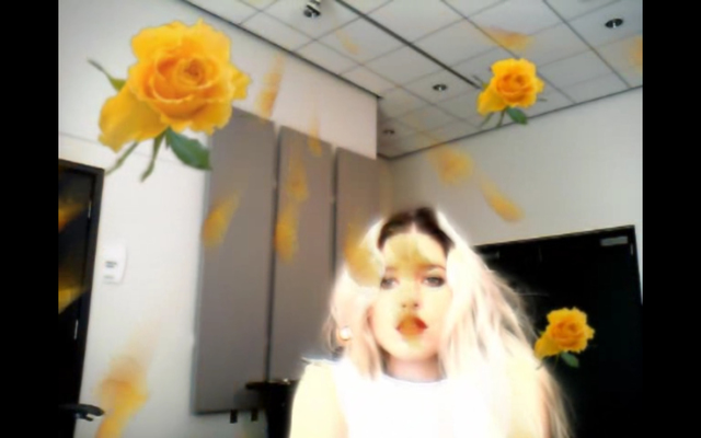 Petra Cortright, ‘bridalshower_w_rose’, 2013, UTA Artist Space