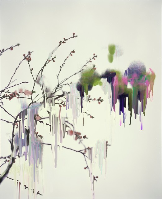 Sandra Kantanen, ‘Sakura 7’, Purdy Hicks Gallery