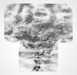 Jim Sullivan, ‘Tree #3’, 2012, Nancy Hoffman Gallery