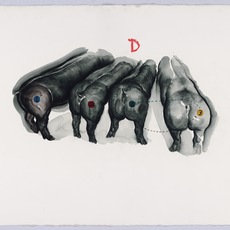 Yang Dongxue