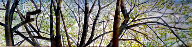 Ellen Sinel, ‘Treetops in Early Spring’, 2011, Painting, Oil on Canvas, Zenith Gallery