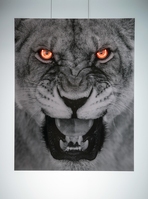 Simon Needham