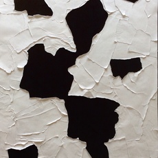 Victoria P. Wonnacott