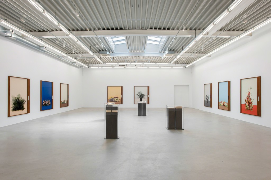 © Hugard & Vanoverschelde. Courtesy of the Artist and Almine Rech Gallery. © Hugard & Vanoverschelde. Courtesy of the Artist and Almine Rech Gallery.