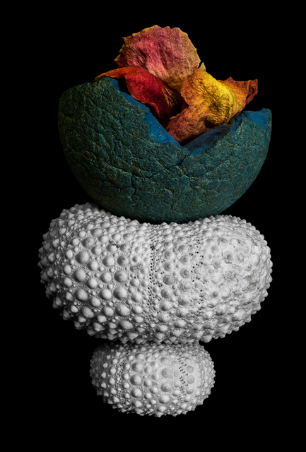 Allan Markman, ‘Urchins, Ball and Rose Petals’, Soho Photo Gallery