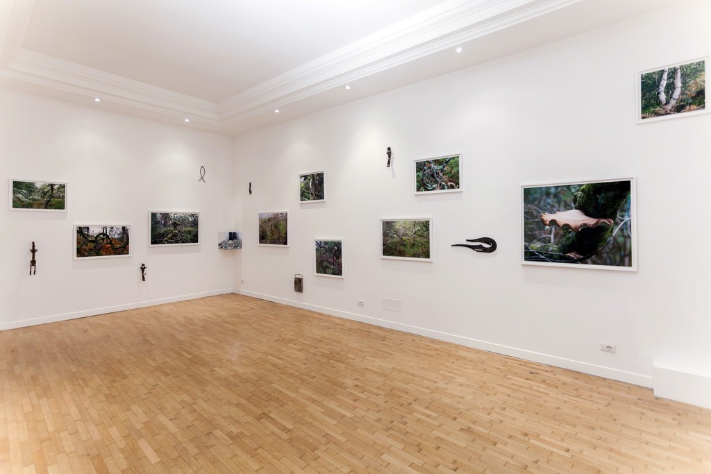 Installation view: Elaine Byrne, "La Diritta Via" Installation view: Elaine Byrne, "La Diritta Via"