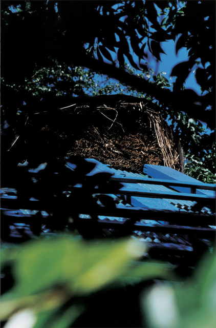 Takuma Nakahira, ‘Degree Zero - Yokohama (#33-799)’, 2002, Aki Gallery