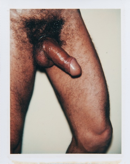 Andy Warhol, ‘Andy Warhol, Polaroid Photograph from the 'Sex Parts and Torsos' Series’, 1977, Photography, Polaroid, Hedges Projects