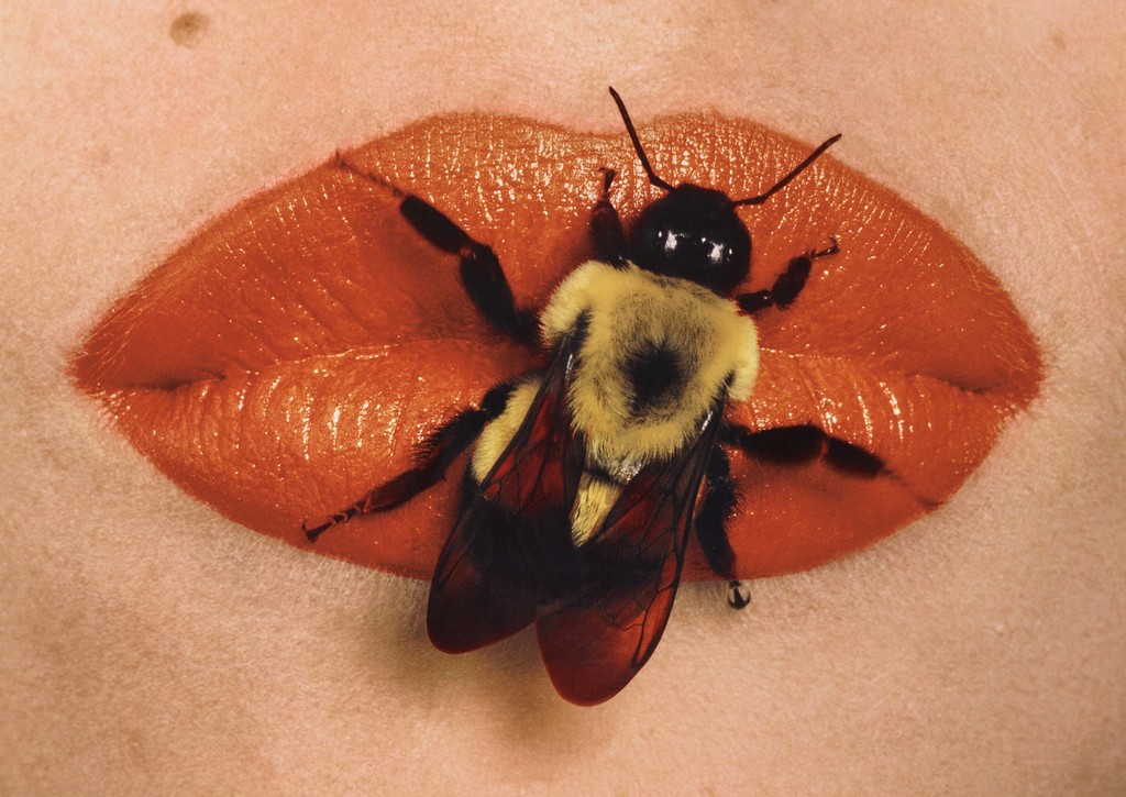 Irving Penn Bee On Lips New York 1995 Artsy