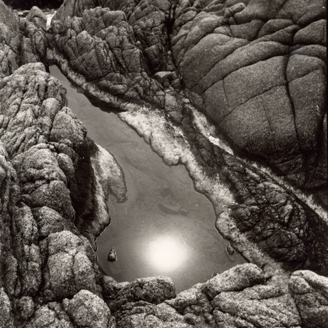 Nancy Newhall