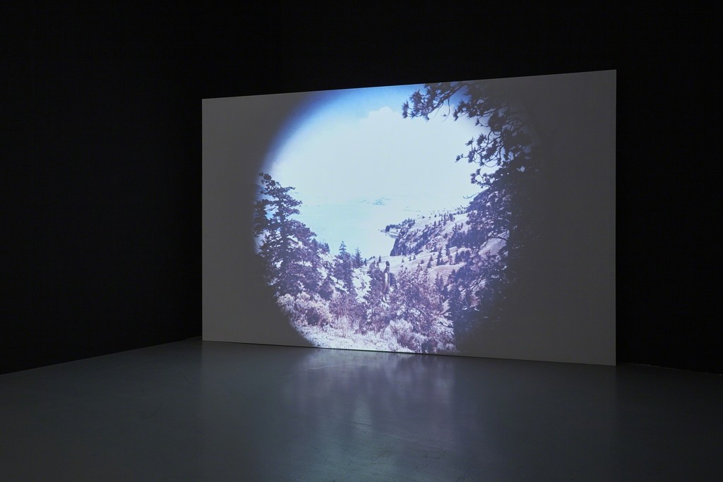 Form Regained - Alexandra Navratil, Erin Shirreff & Lara Viana, 30 April - 30 May 2015 (exhibition view) Form Regained - Alexandra Navratil, Erin Shirreff & Lara Viana, 30 April - 30 May 2015 (exhibition view)