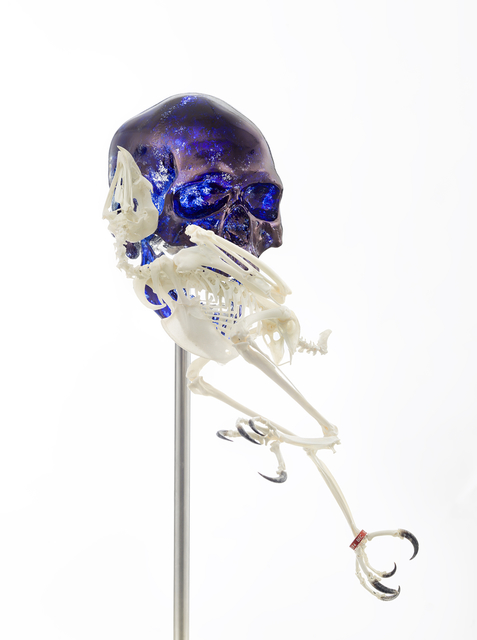 Jan Fabre, ‘Skull with Harris’ Hawk’, 2018, Sculpture, Bic ink, Murano glass, skeleton, stainless steel, Templon