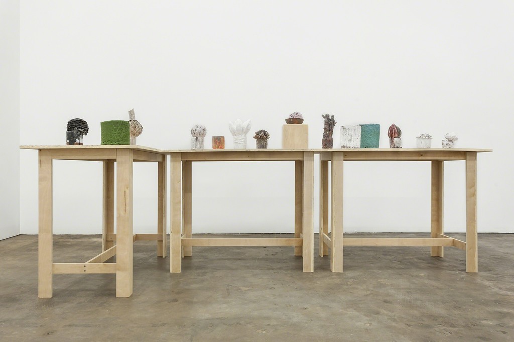 Installation shot, Clippings and Hard Fruit, David Hicks Installation shot, Clippings and Hard Fruit, David Hicks