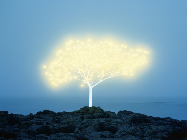 Lee Jeonglok, ‘Tree of Life in Island 5-1-4’, 2013, Pontone Gallery