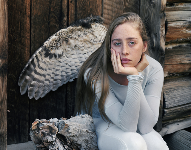Laura McPhee, ‘Wing of a Great Horned Owl Killed by a Gold Eagle, A Burl, My Daughter, Jerry Peak Wilderness, Idaho, 2015 1/5’, Photography, Archival pigment print, Gail Severn Gallery