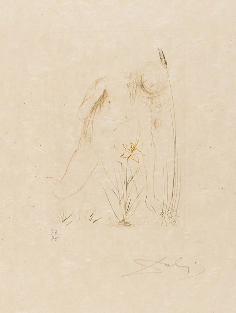 Salvador Dalí, ‘Narcisse (from Quinze Gravures) (M&L 284b; Field 68-4-B)’, 1968, Forum Auctions